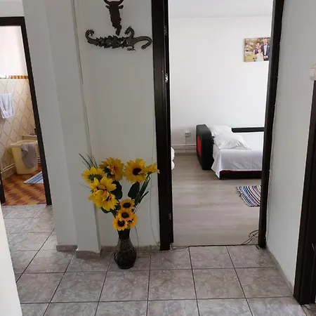 Apartament Apartment *
